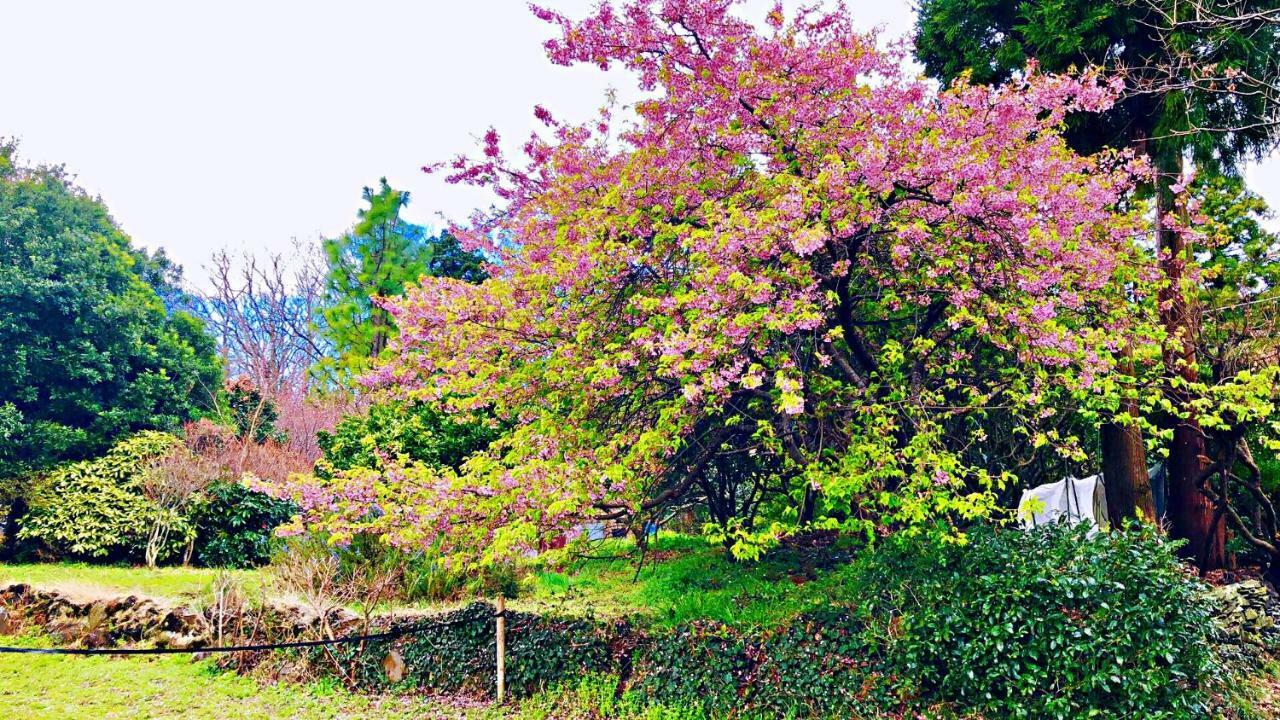 Forest Villa Olive Futo Esterno foto